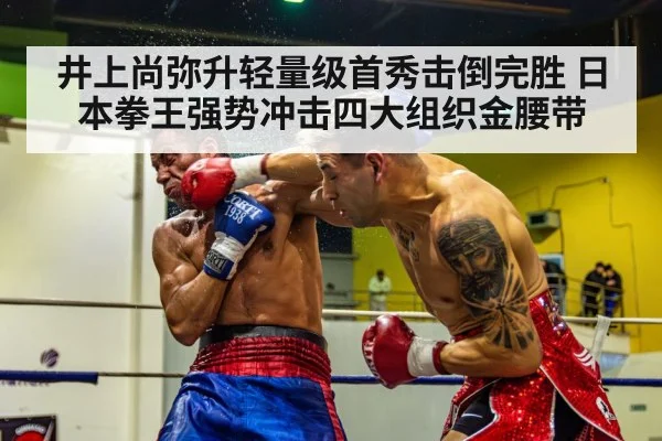 boxing gloves knockout